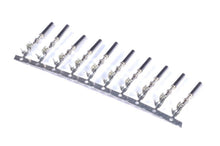 Load image into Gallery viewer, Photo - Primary