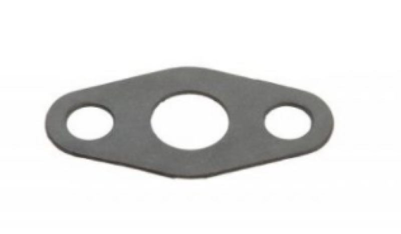 BorgWarner Gasket EFR Oil Drain Gasket