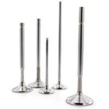 Load image into Gallery viewer, Ferrea 07-08 Honda CRF 450 30mm Head Dia Competition Exhaust Valve - Set of 2