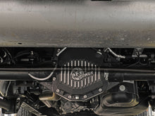 Load image into Gallery viewer, Photo - Mounted