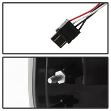 Load image into Gallery viewer, Photo - Unmounted