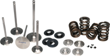 Load image into Gallery viewer, Ferrea 99-00 Suzuki GSX 1300R Hayabusa Dual Valve Spring Kit