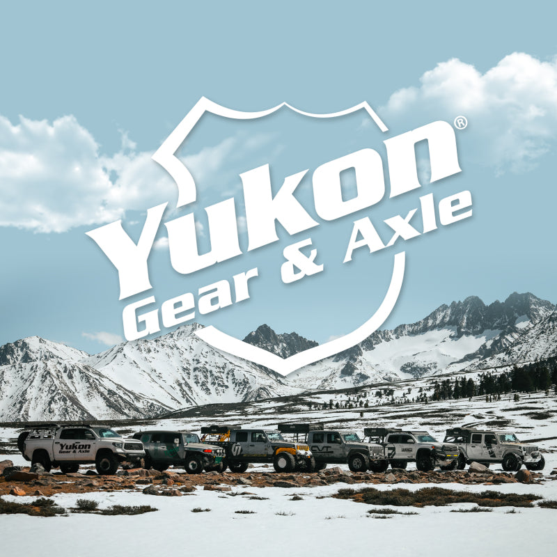 Yukon Gear Master Overhaul Kit For 09 & Down Ford 8.8in Diff